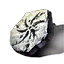 Anu Crest