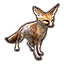 Fennec Fox killed